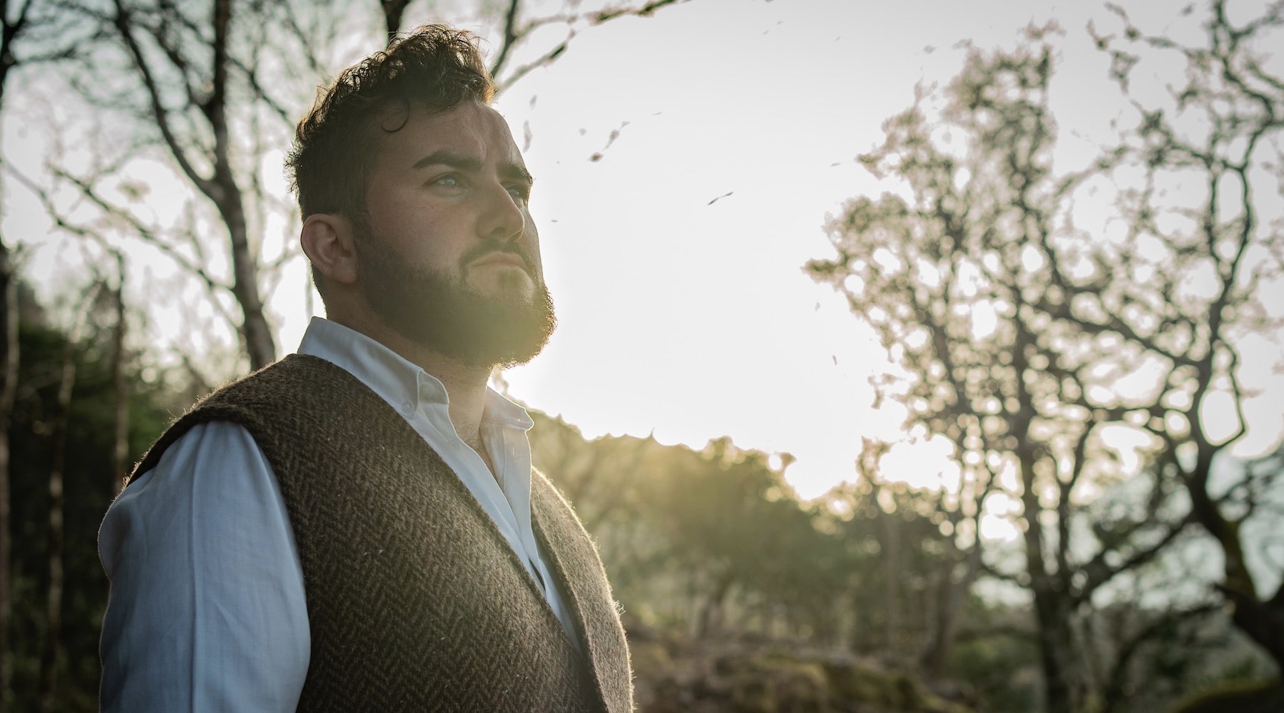 handsome bearded man in a wood at sunset